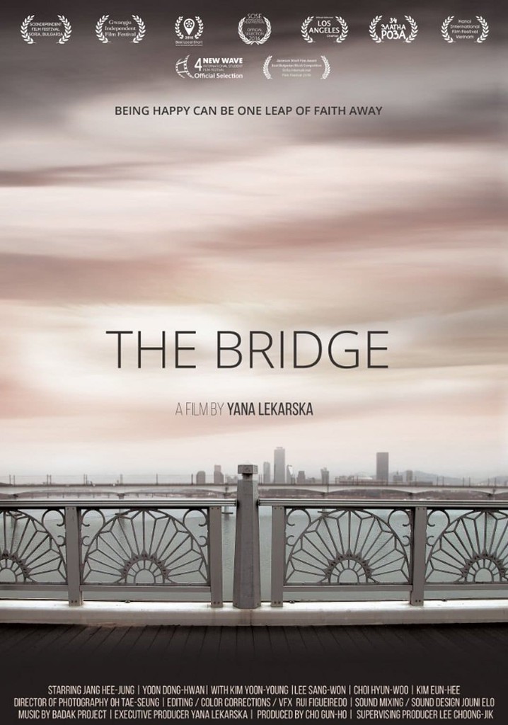 where to watch the bridge documentary